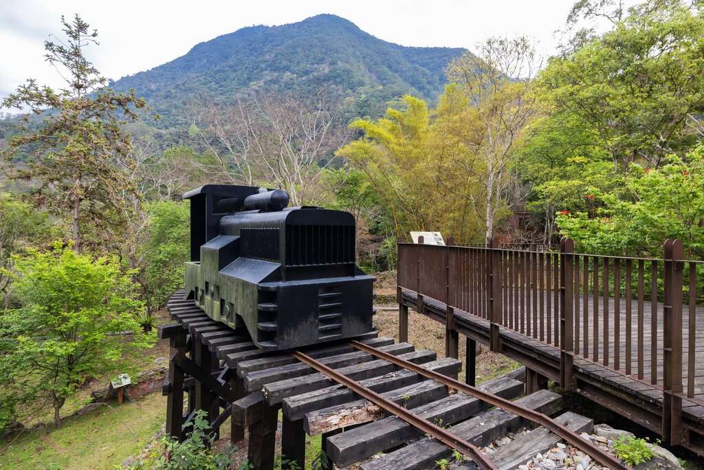 八仙山國家森林遊樂區_園區森林浴步道_千享拍攝
