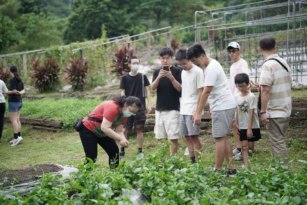 頭城農場_旬味特搜隊-認識植物_取自交通部觀光署