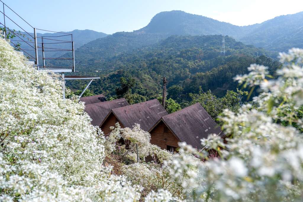 被白雪木包圍的仙湖休閒農場