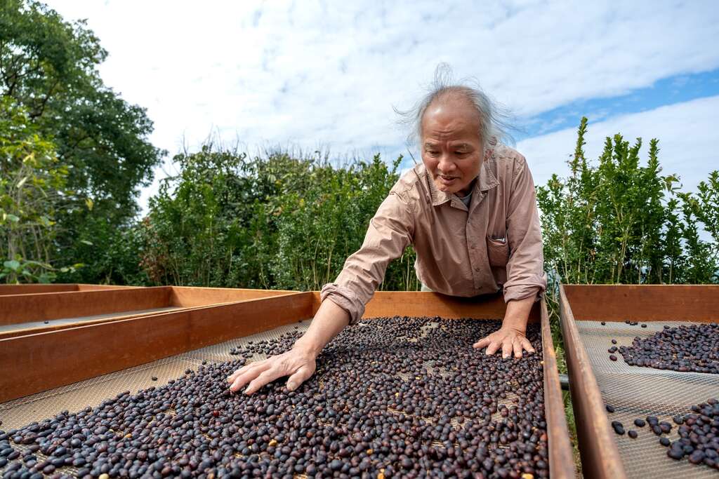大鋤花間的老闆正在日曬咖啡豆
