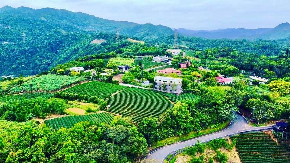 2026 尋茶香、賞螢火，初夏一起到坪林走走_茶園_取自茶裡相逢活動通 (1)