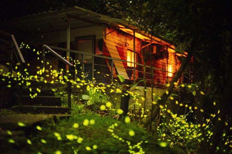 雙溪平林休閒農場｜螢火閃閃在平林_取自螢火閃閃在平林報名表