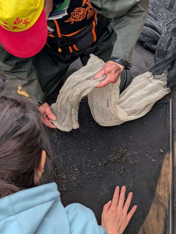 白天下海捕撈多半僅有泥沙及其他少量的魚苗