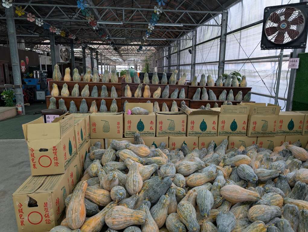 官老爺休閒農場可見壯圍農特產品之一的南瓜
