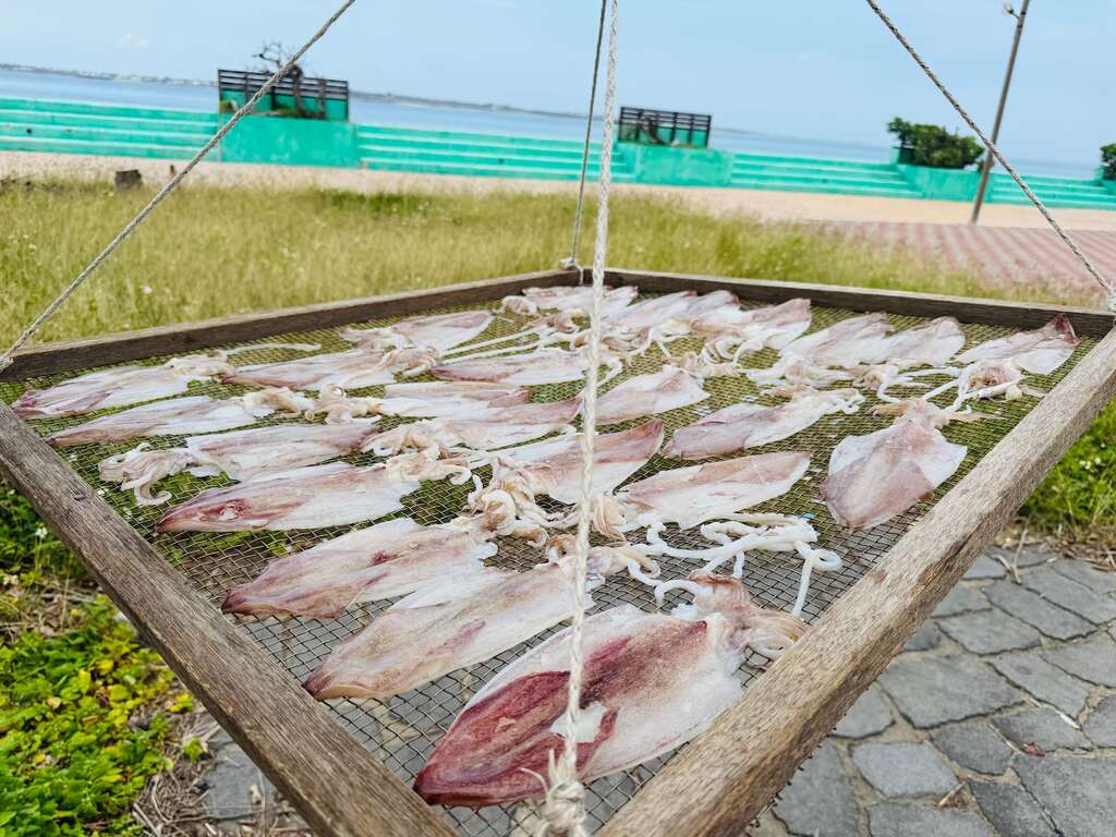 海洋牧場體驗漁業（圖片來源：元貝田媽媽提供）