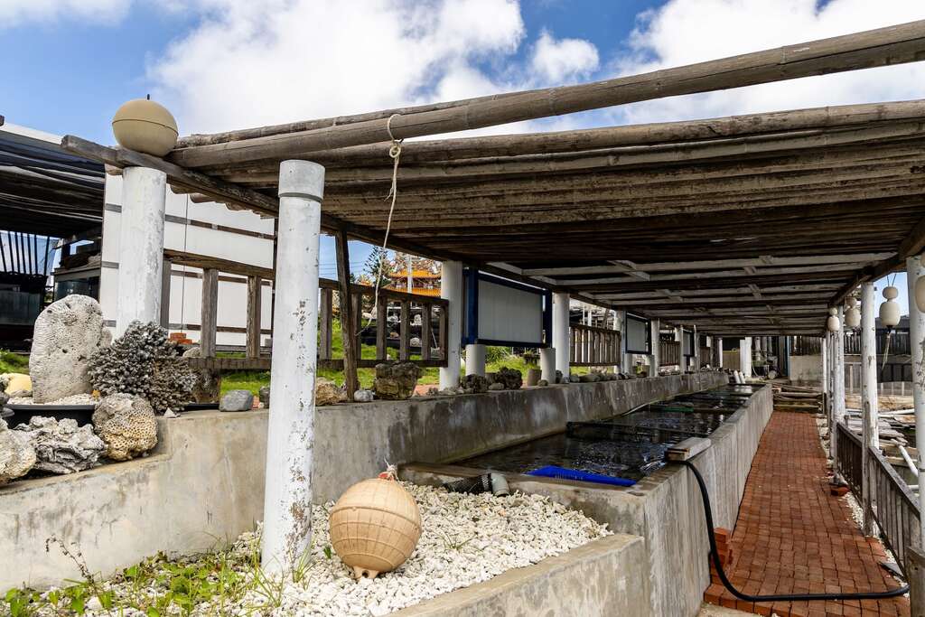 共生池呈現水域環境的生態樣貌，讓遊客更容易理解永續漁業的理念