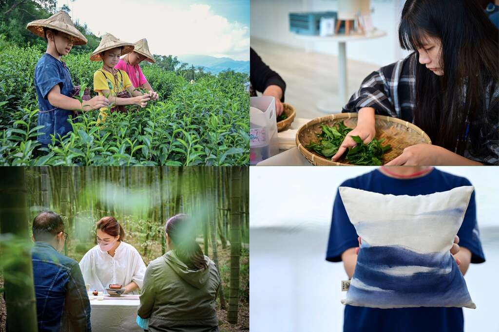 山中茶學體驗包含「一日採茶人／製茶無難事／森林享茶樂／親縫茶香枕」，透過實際體驗、身在茶中，能更了解茶的故事。（照片授權：山中茶學）