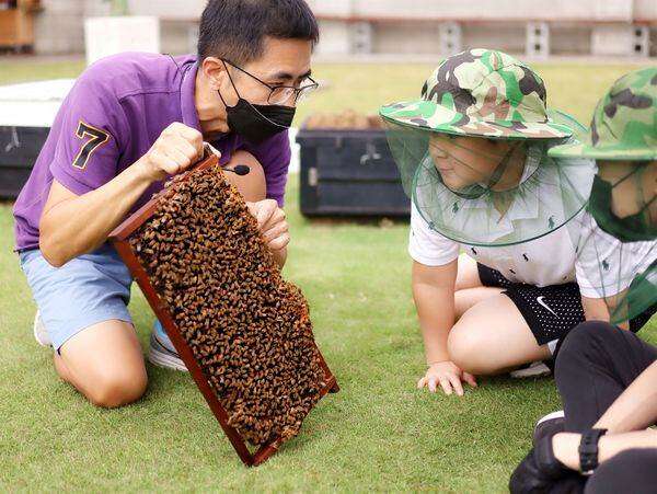 蜜鄉養蜂園 圖片來源：特色農遊場域認證