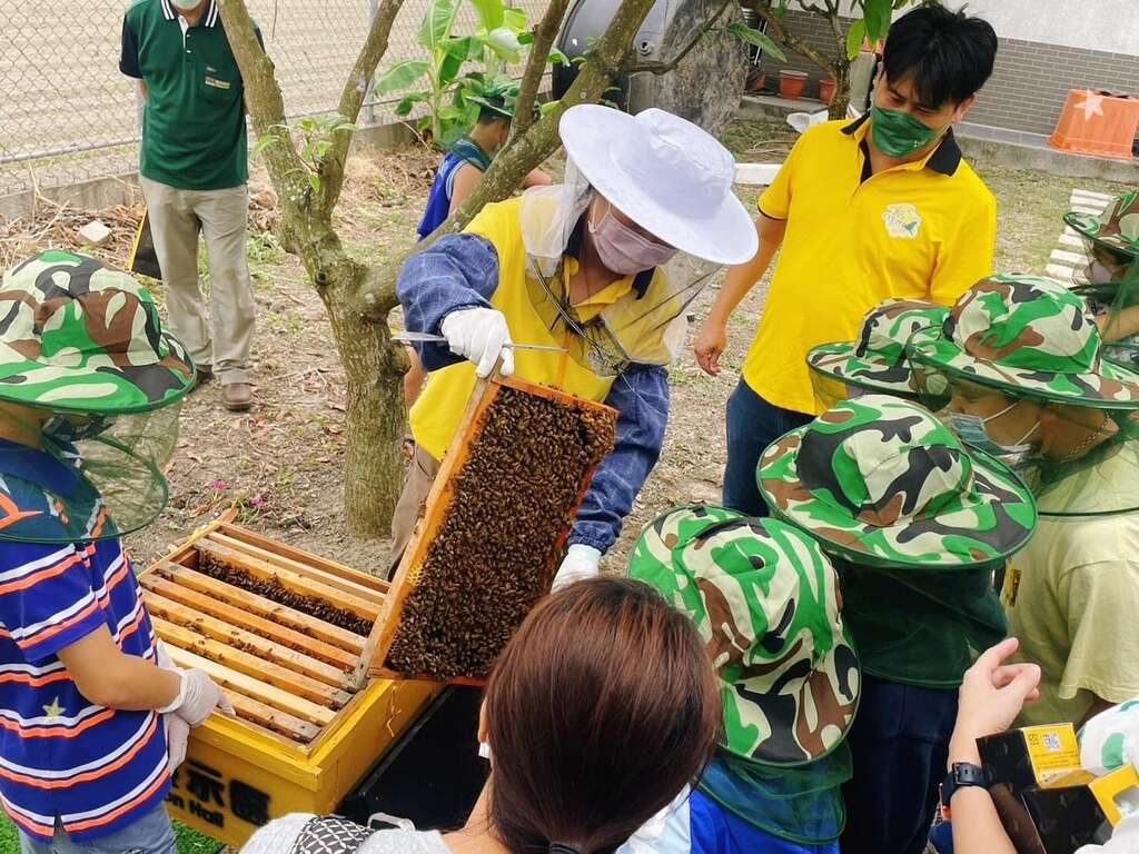 東和蜂文化觀光工廠-生態教學 圖片授權:東和蜂文化觀光工廠
