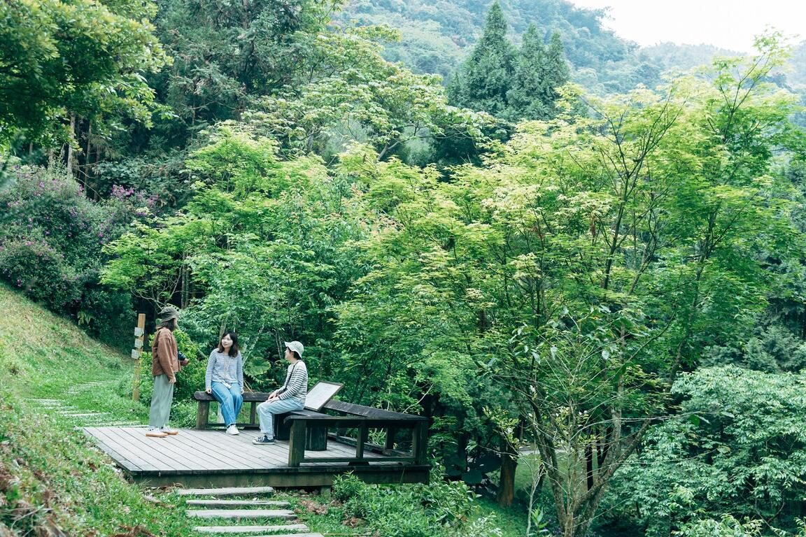 在薰衣草森林，用全身的每個感官去感受自然環境的變化。