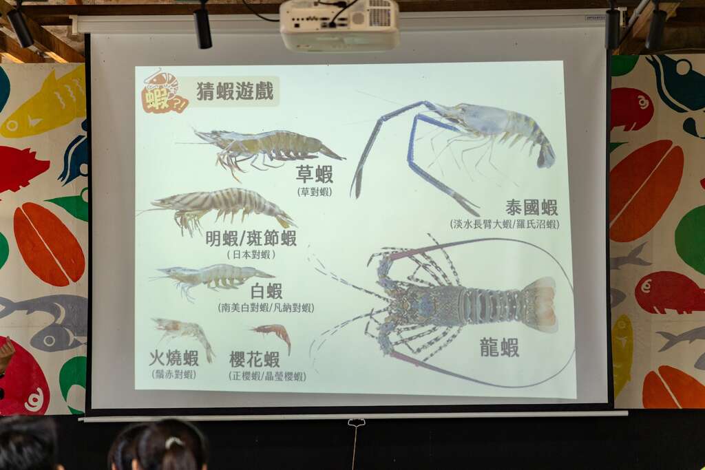 互動環節-猜蝦遊戲