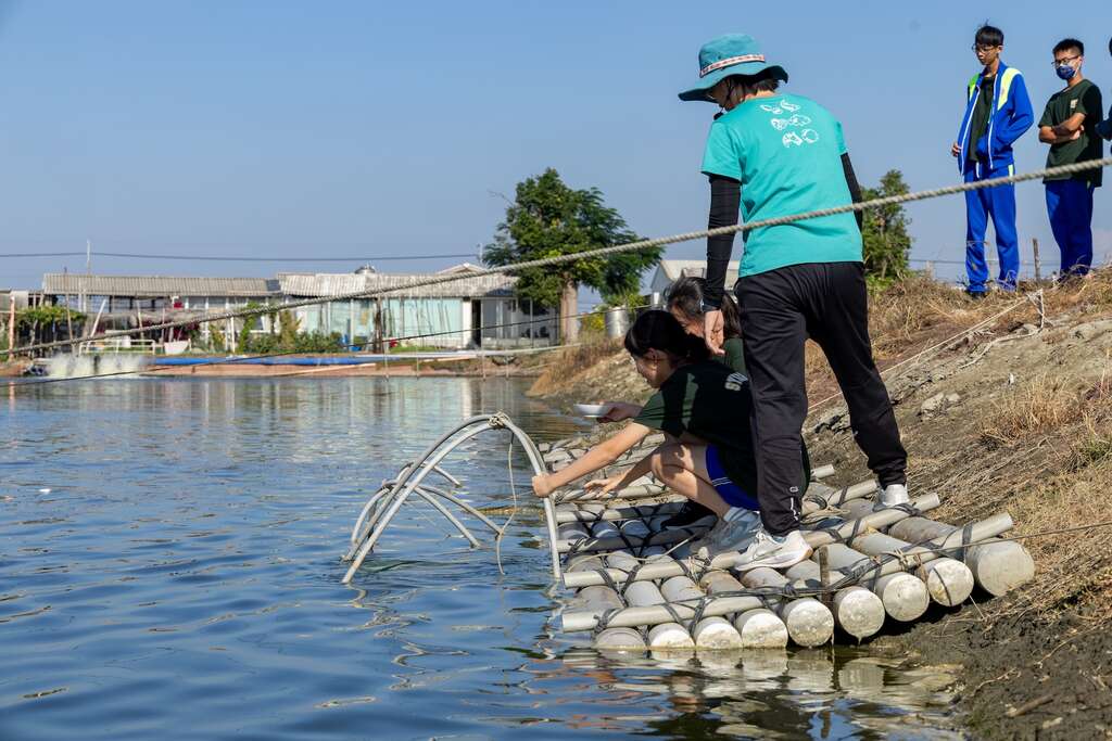 使用捕蝦網撈蝦