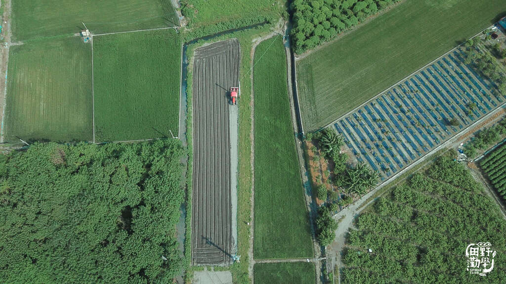 豆田綠意鋪展，展現田野勤學以友善方式耕作的日常風景（圖片來源：田野勤學）