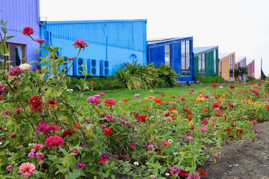 雲林晁陽綠能休閒農場-傾斜的屋頂上鋪著一片片太陽能，圖片來源：農遊超市