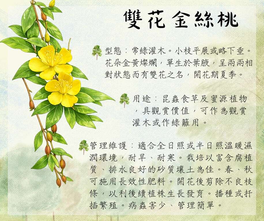 645599382_1233680015611197_8974833170592489921_n