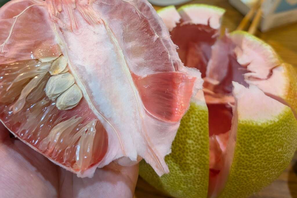 辭水後的紅文旦，果肉多汁，稍比一般的白肉麻豆文旦更帶有酸甜滋味