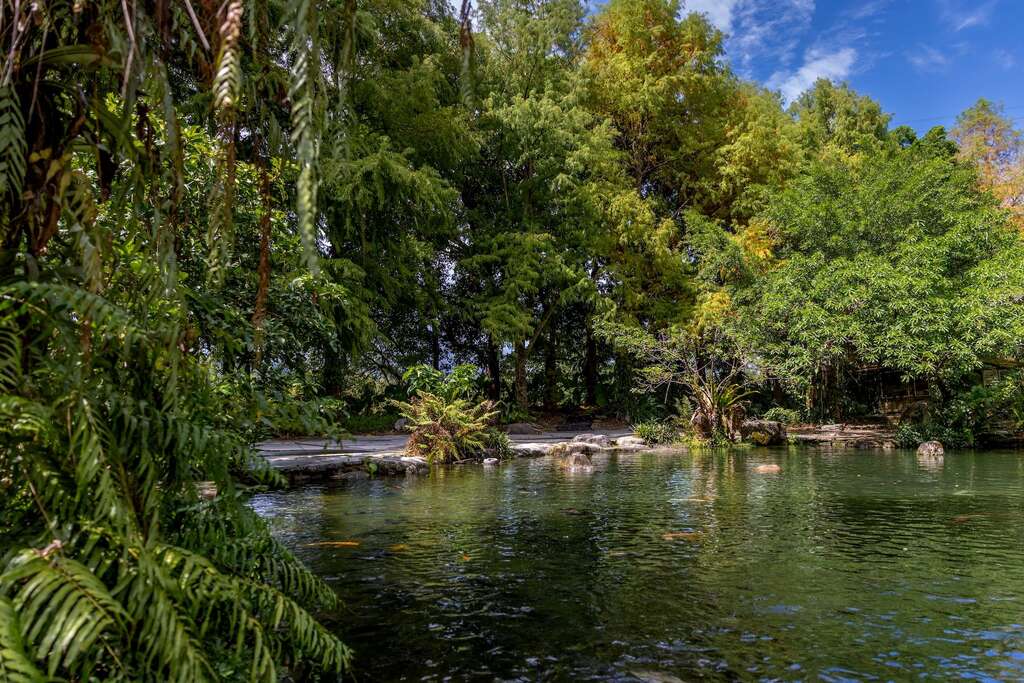 三富休閒農場-魚池