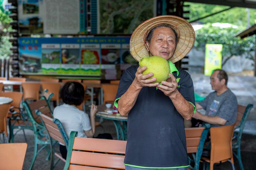 老闆說明，紅文旦體型會比常見的白肉麻豆文旦還要碩大許多，盡量挑選拿起來有重量的為主，代表裡面果肉飽滿。