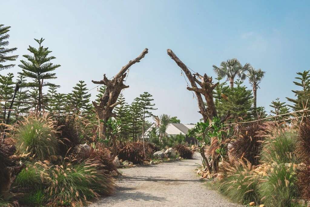 自然圈農場透過豐富的植栽呈現自然野趣與藝術感。（圖片來源：農遊超市）