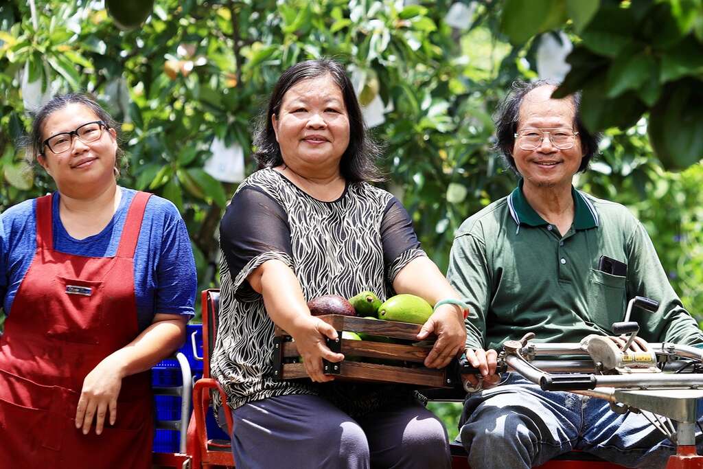 楊金坤（圖右）、李香芬（圖中）夫妻以自然農法照顧酪梨園（圖片來源：農遊超市）。