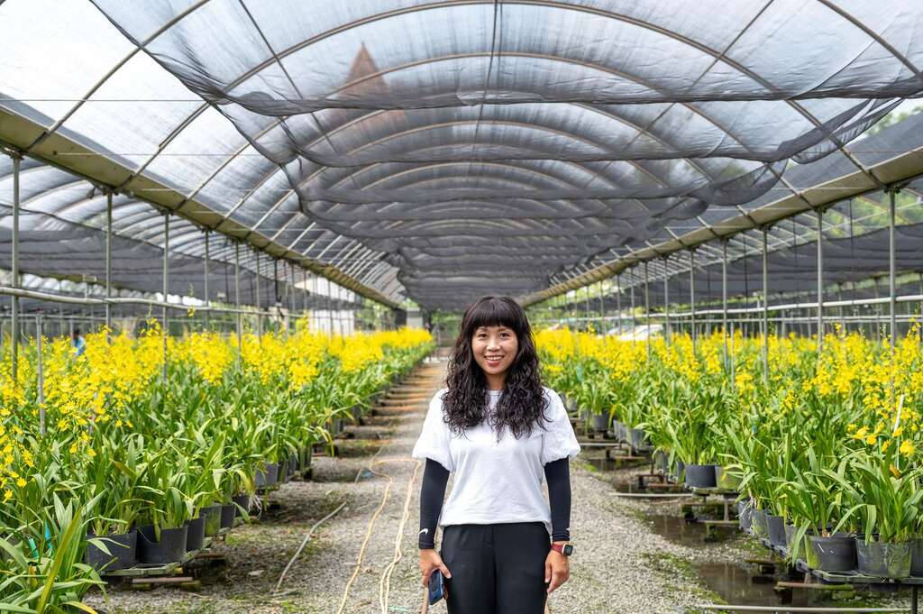農村城堡 耕牛園 圖片來源：特色農遊場域認證