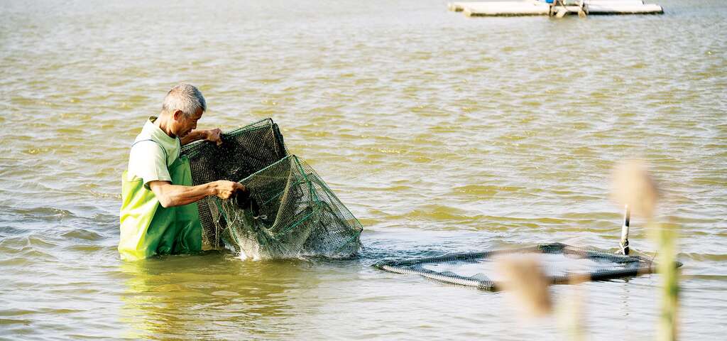在哈哈漁場體驗漁塭工作生活日常。（圖片來源：農遊超市）