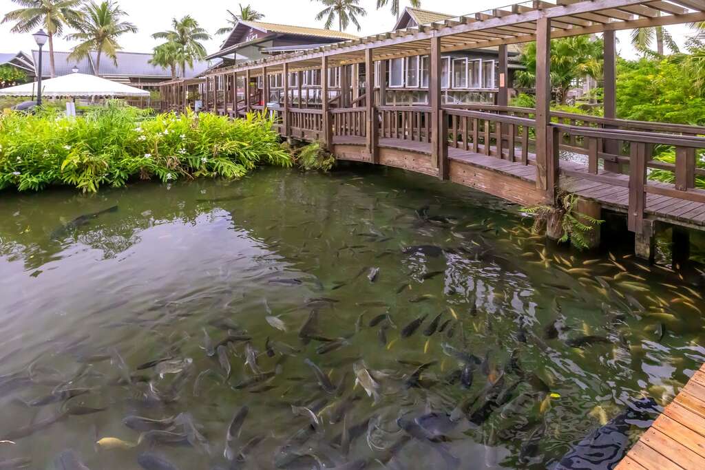 立川漁場以黃金蜆聞名國內外，在這裡可觀賞魚蜆共生。