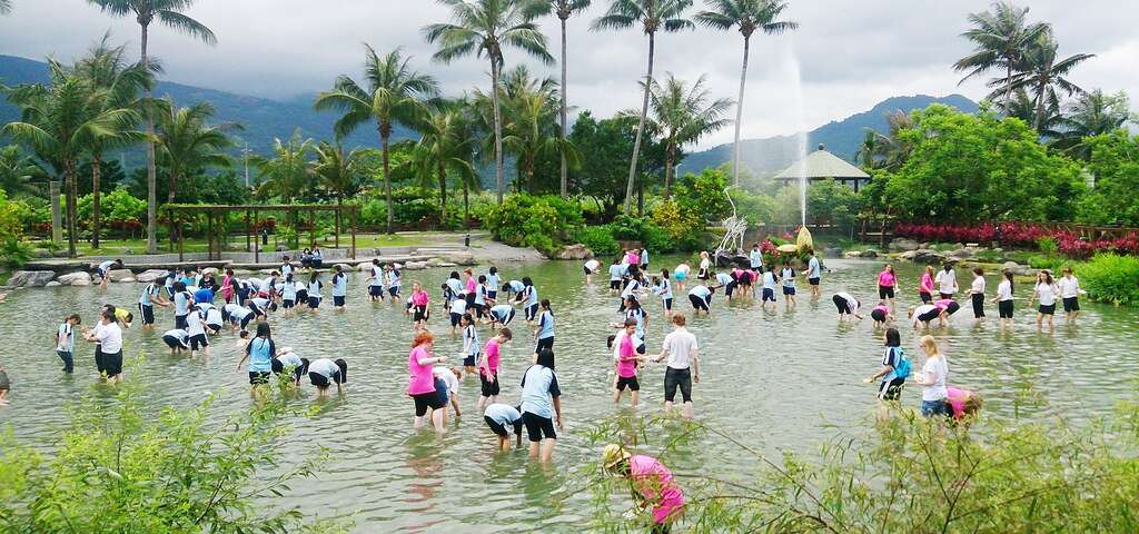 體驗「摸蜆仔兼洗褲」樂趣(圖片來源:農遊超市)