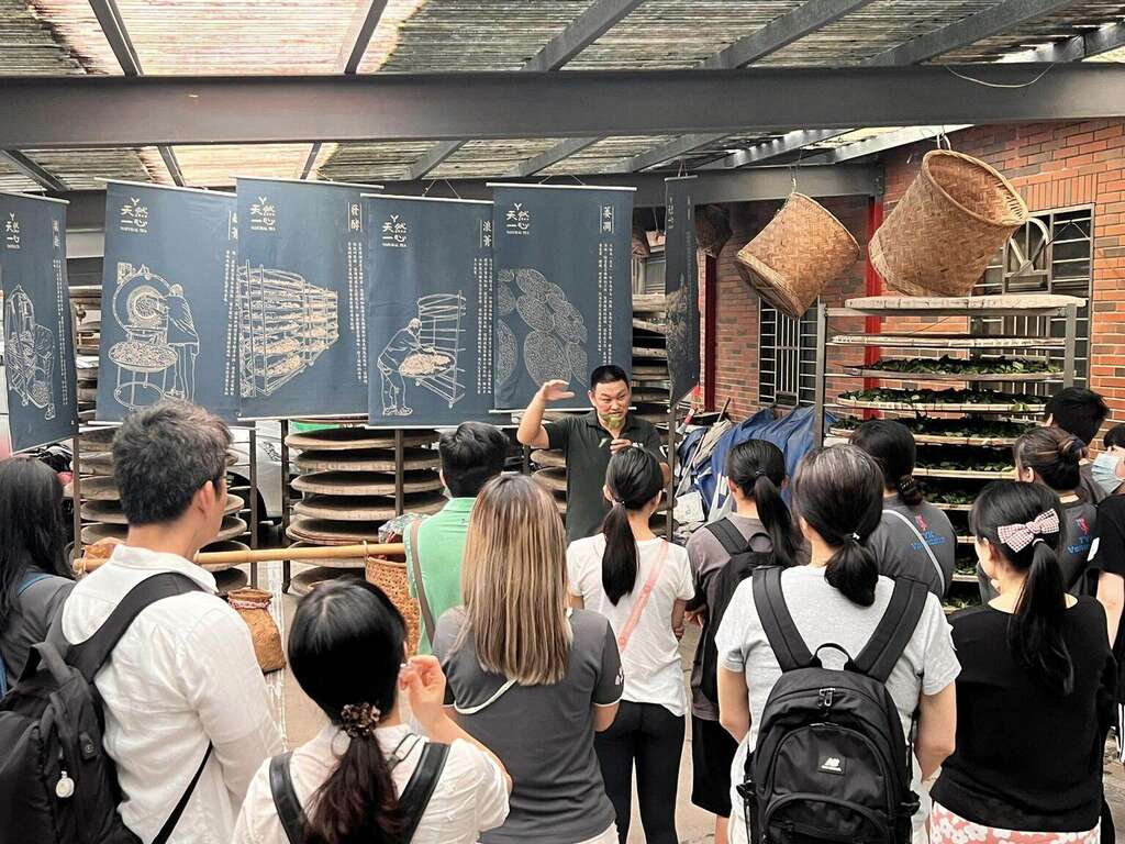 天然茶莊除了有導覽解說，也可體驗採茶和製茶當「一日茶農」。圖片來源：特色農業旅遊場域認證