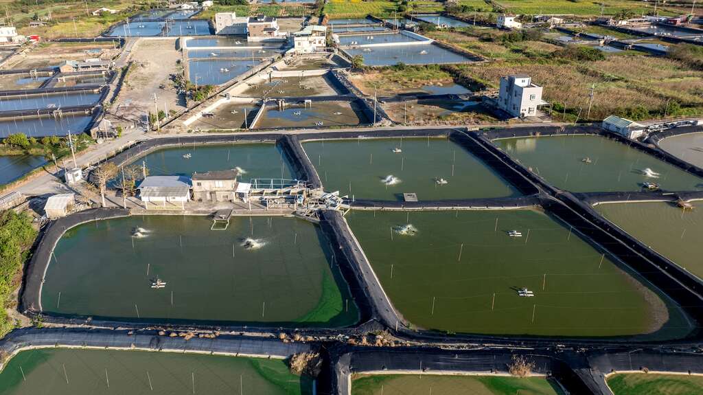 時至今日，口湖鄉仍是台灣養殖鰻魚重要的產地之一。