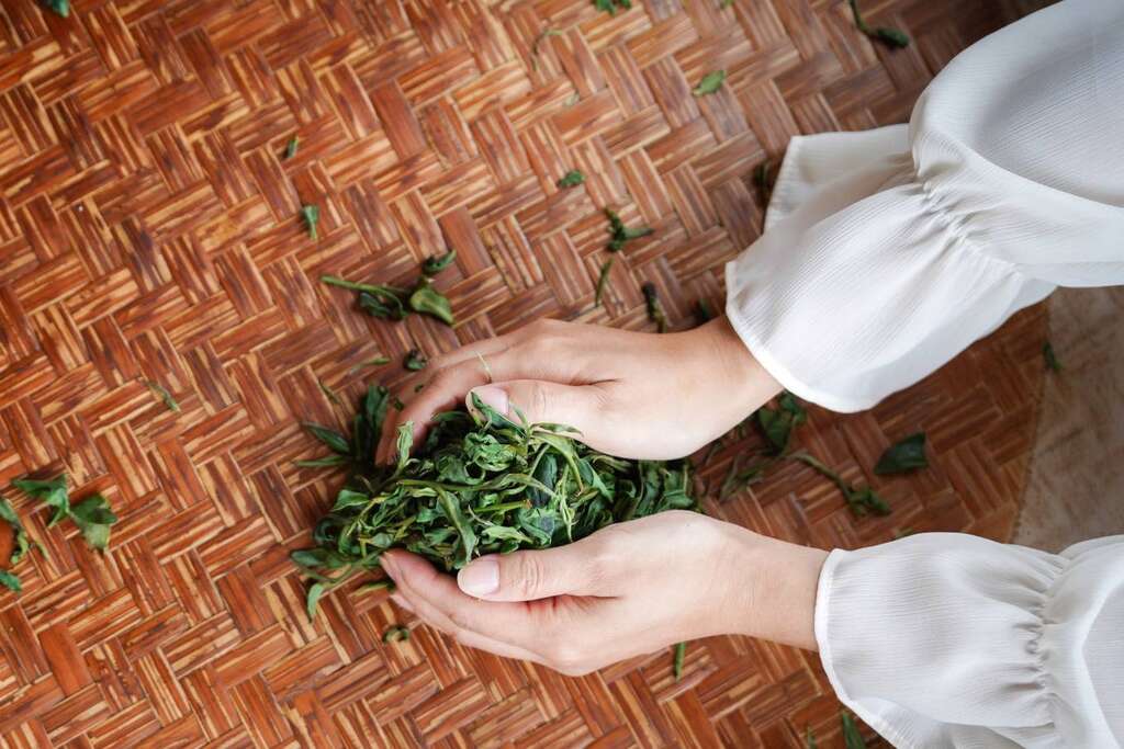 親手體驗揉茶過程，在製茶流程中感受茶香魅力。（圖片來源：農遊超市）