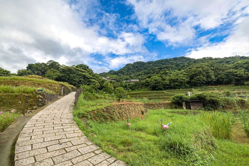在貓空休閒農業區，石板步道沿著山坡蜿蜒而上，展現台北近郊獨特的自然休閒風光。
