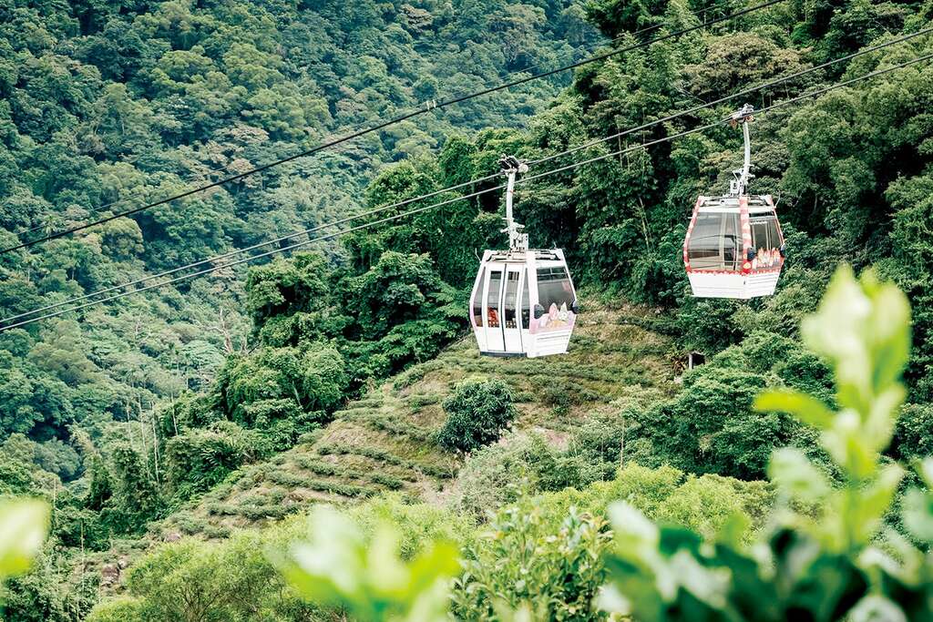 橫越山林與茶園，纜車車廂沿著山勢緩緩前行。（圖片來源：農遊超市）
