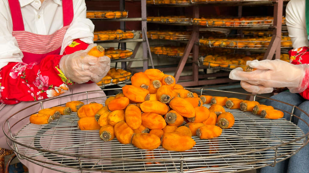 師傅們還須每日替柿子手工按摩，確保每個角度都均勻曝曬