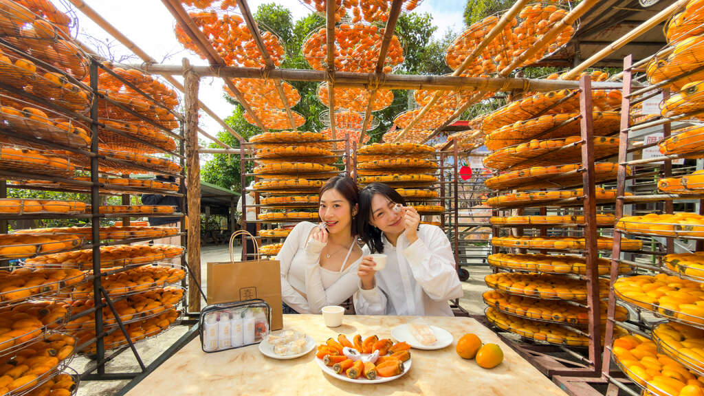 柿子在三合院前整齊排開，橘紅色澤在陽光下熠熠生輝