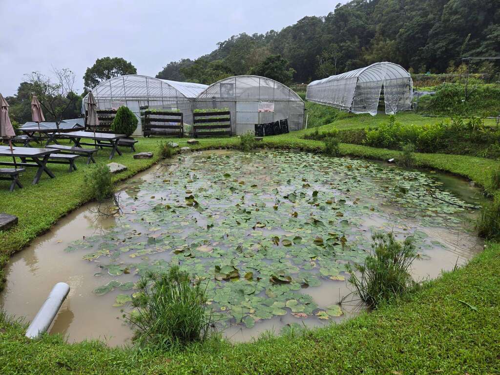 美麗的蓮花池，也是水循環生態池（圖片來源：特色農遊場域認證）