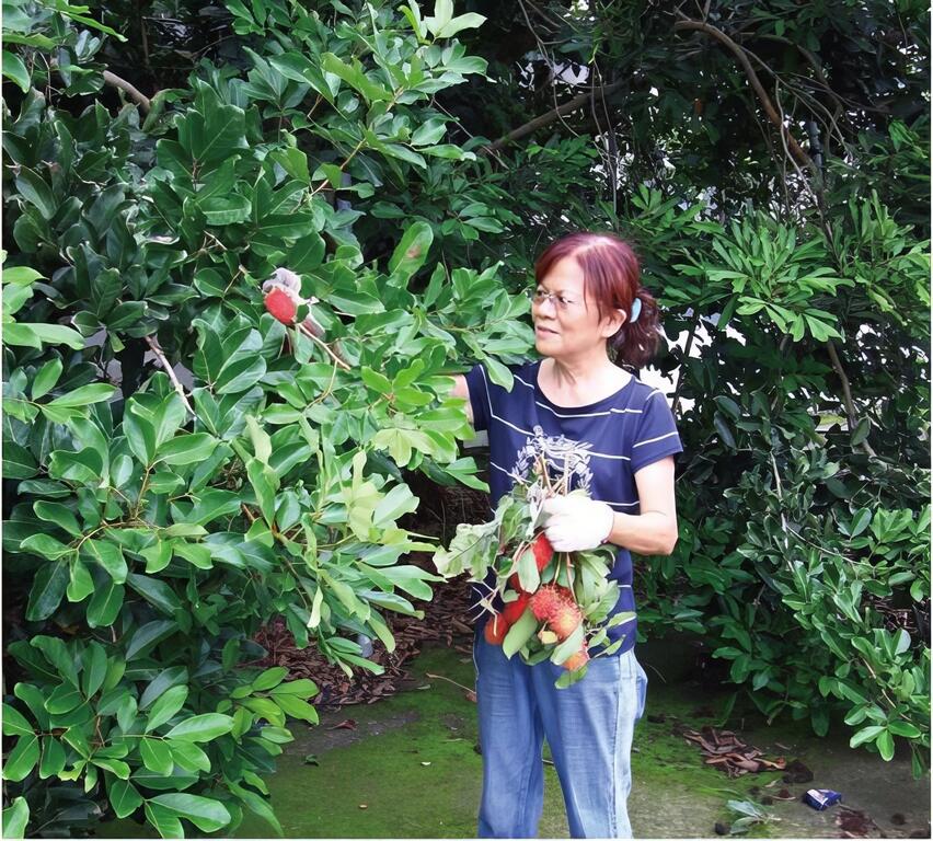 想要什麼，媽媽親手摘給你