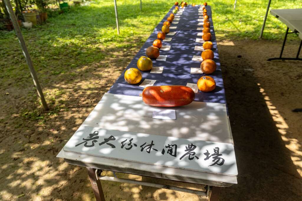 一桌排開色彩繽紛、果香四溢