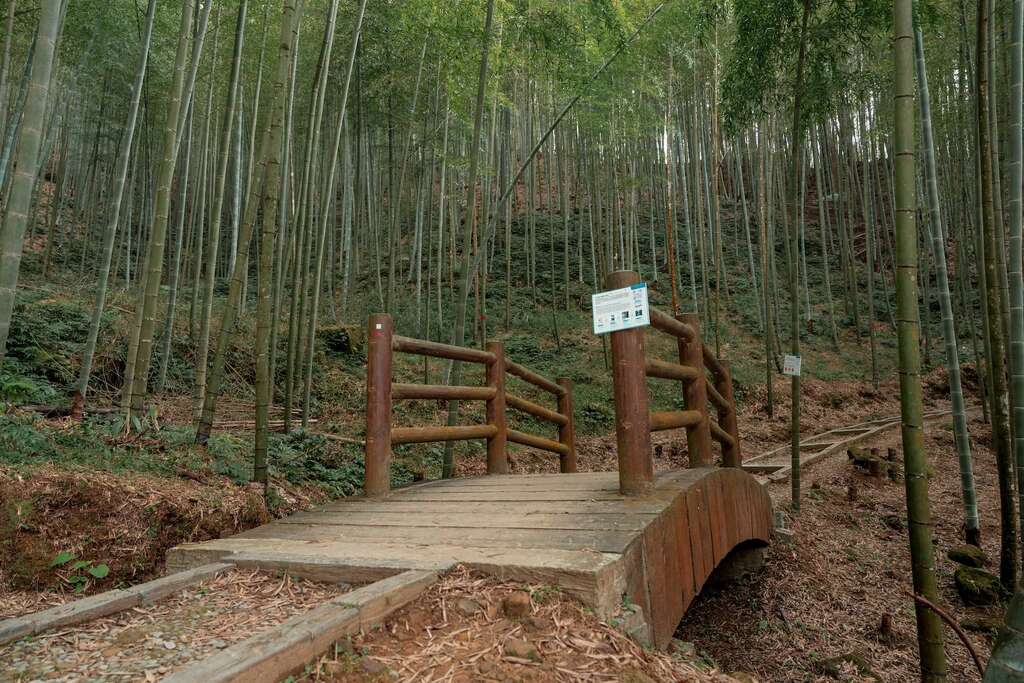 草嶺石壁森林療癒基地