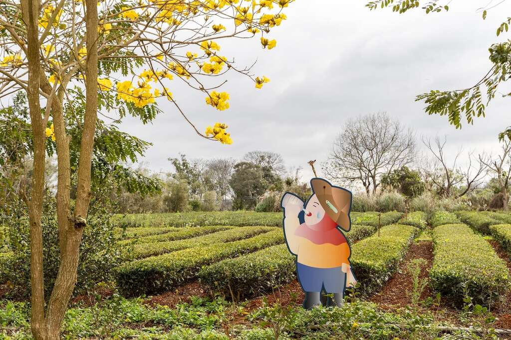 苗栗縣貓裏紅體驗茶坊茶園