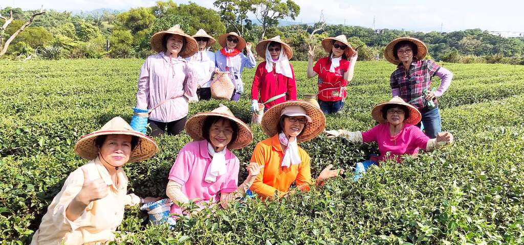 製茶體驗課程（照片來源：農遊超市）