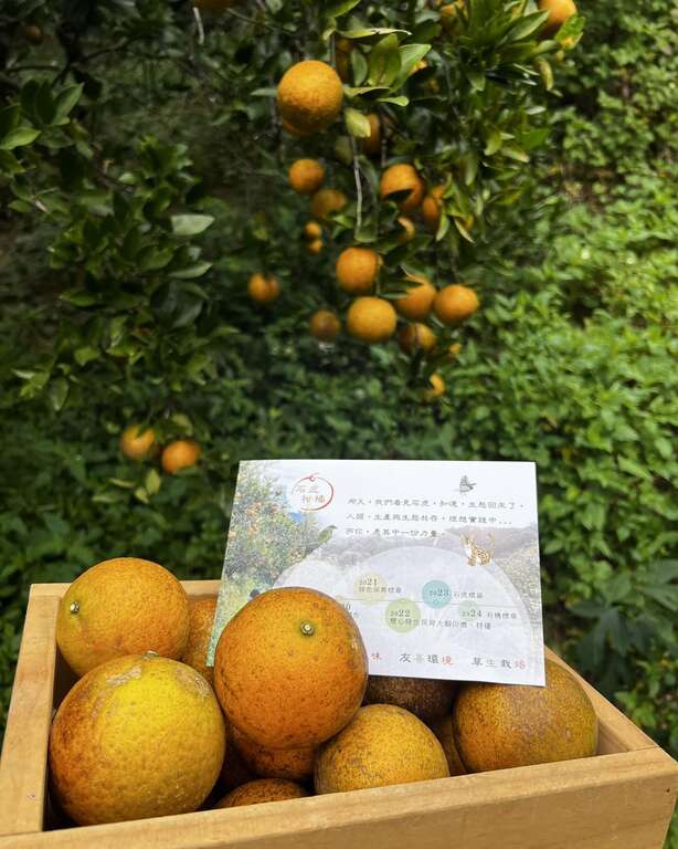 食柑農場2_照片授權：食柑農場FB