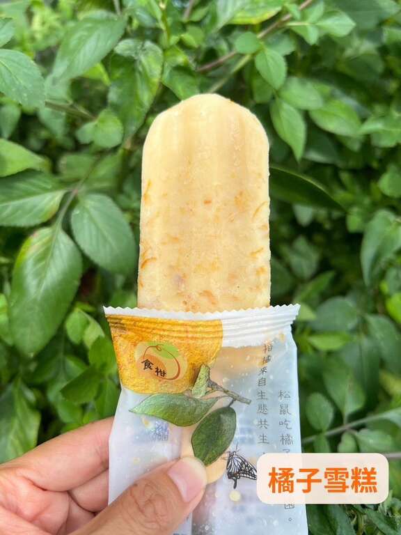 食柑農場3_照片授權：食柑農場FB