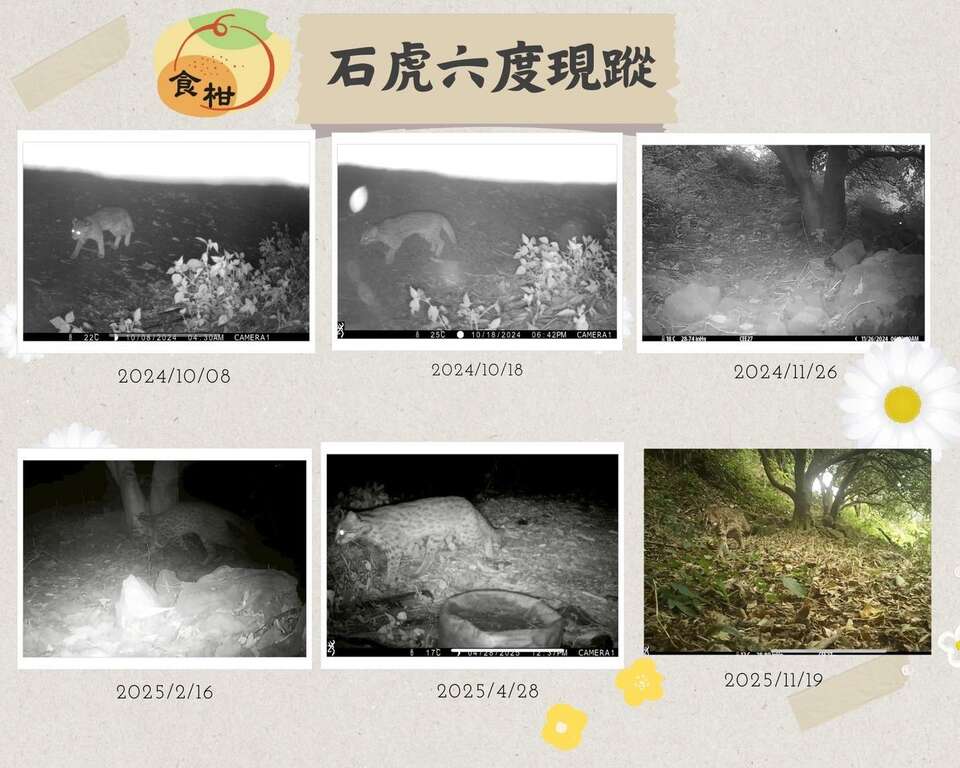 食柑農場5_照片授權：食柑農場FB