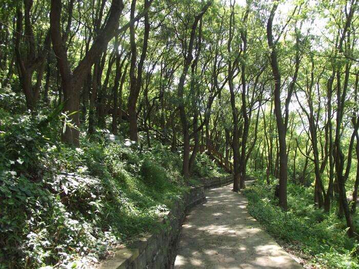 軟埤坑休閒農業區2