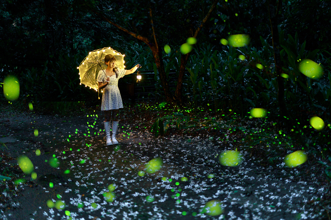 ___________yanglianhu_05