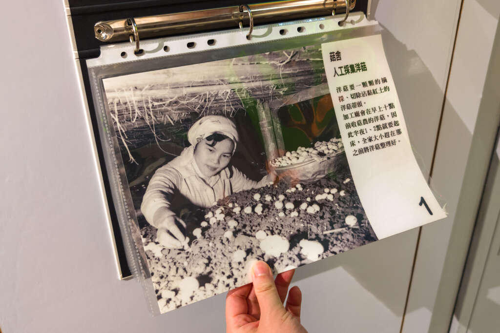 菇舍歷史照片