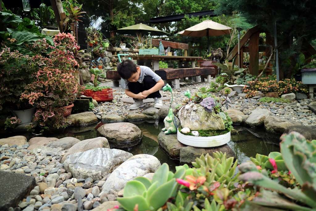 用五顏六色植物妝點造景小河流（圖片來源：特色農遊旅遊場域認證）