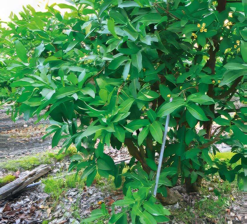 傳奇，是友善環境與永續經營