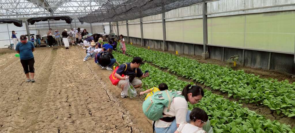 灣吳獨有機農場